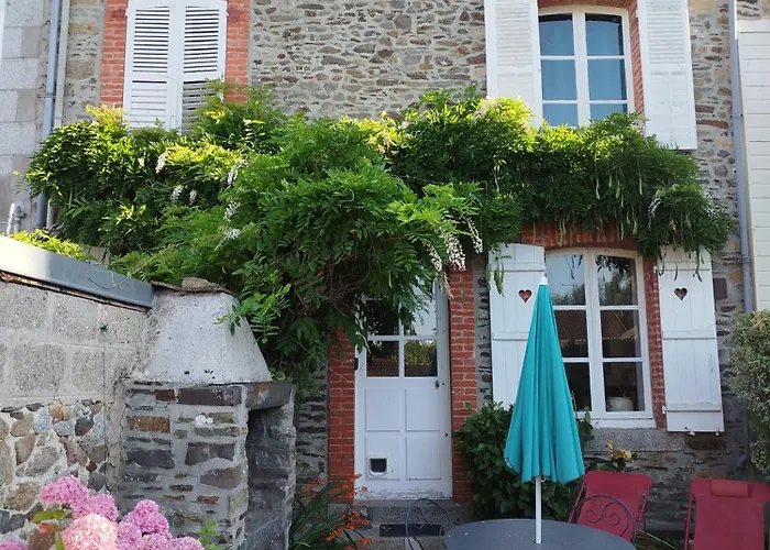 Les Hirondelles En Baie Du Mont St Michel *