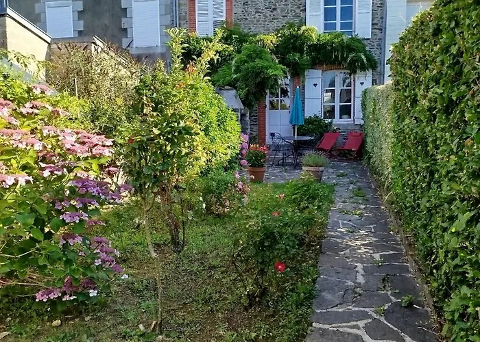 Les Hirondelles En Baie Du Mont St Michel